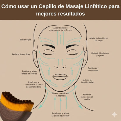 Valetta™ Cepillo de Contorno Linfático